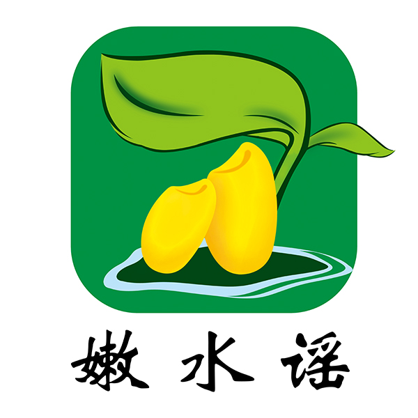 沈阳正规商标代理哪家好