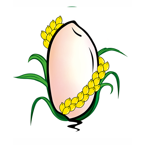 烟台正规的软件著作权登记哪家好