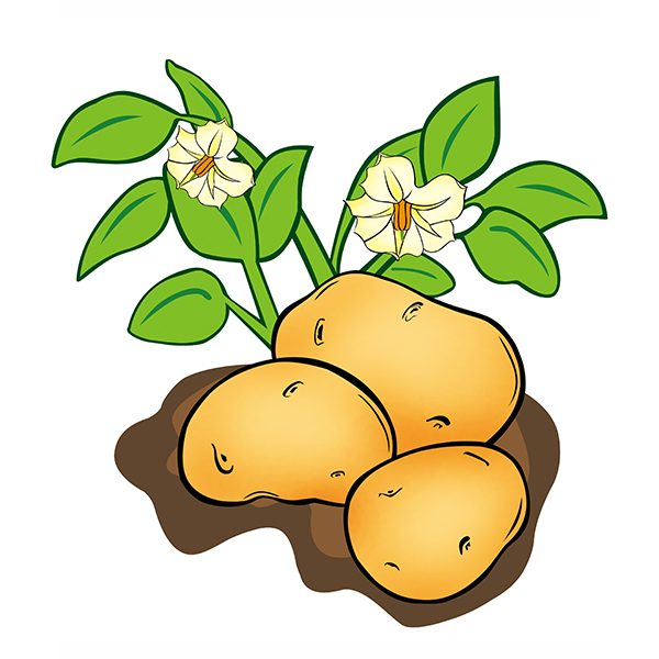 大庆正规的商标续展代办价格